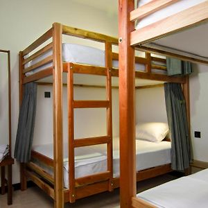 Bunk Bed Mixed Dormitory Room